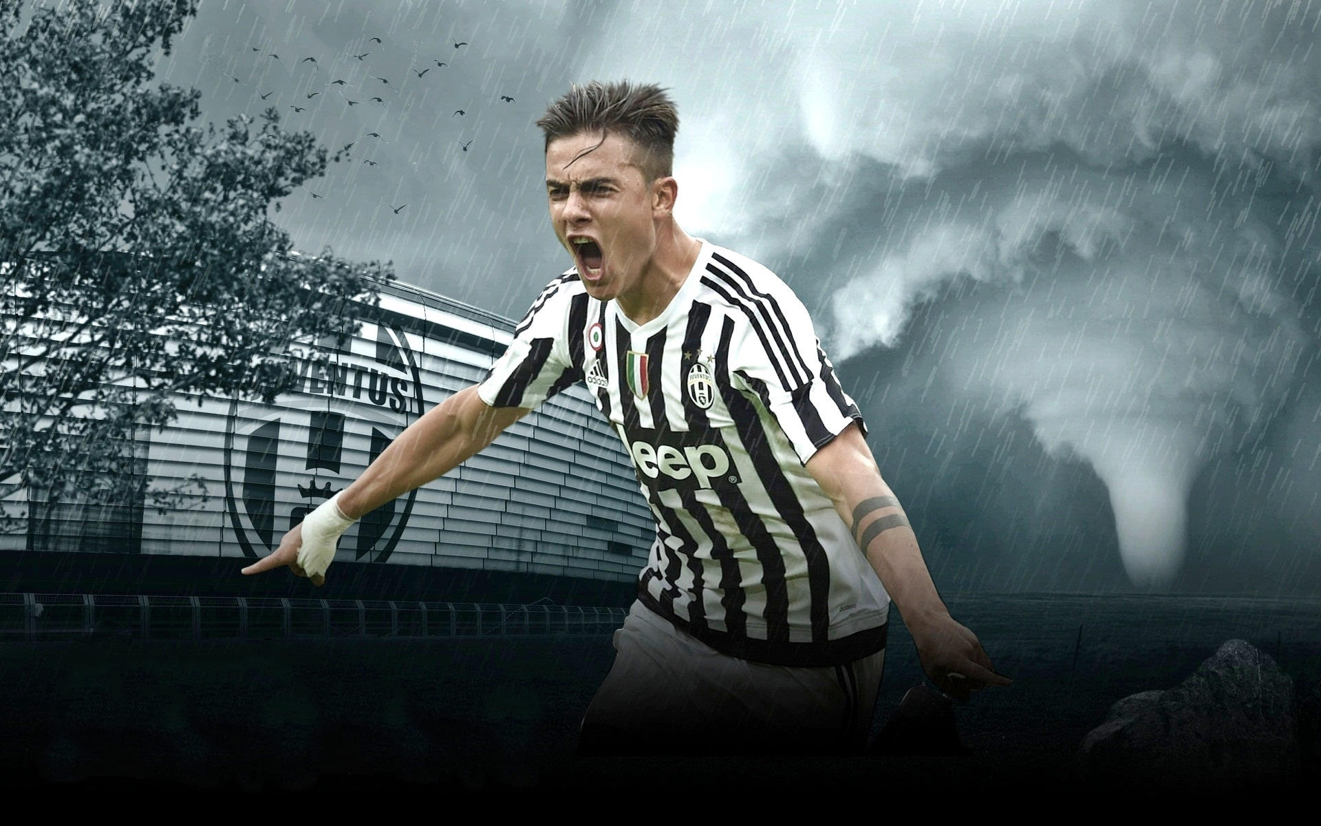 记者：西海岸外援戴维森返回巴西接受鼻梁手术，恢复期3个月（记者透露：西海岸外援戴维森回巴西做鼻梁手术，预计缺阵三个月）